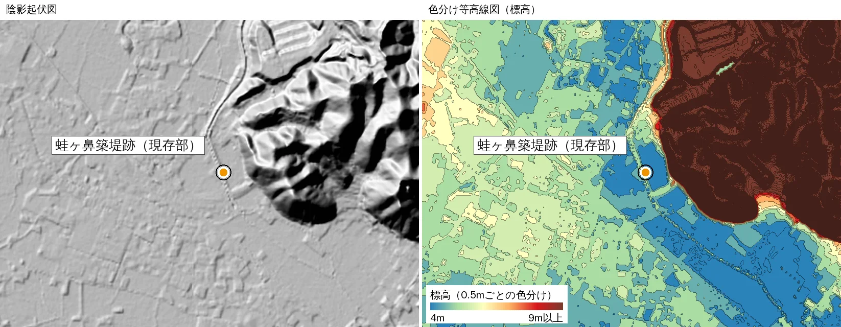 (Trial-development screen) Close-up of the Kawazugahana embankment remains. Left: black-and-white hillshade, where a thin, dotted-looking rise runs about 300 m south from the foot of the hill. Right: contour map colored every 0.5 m, where a thin strip slightly higher than its surroundings appears in the same place